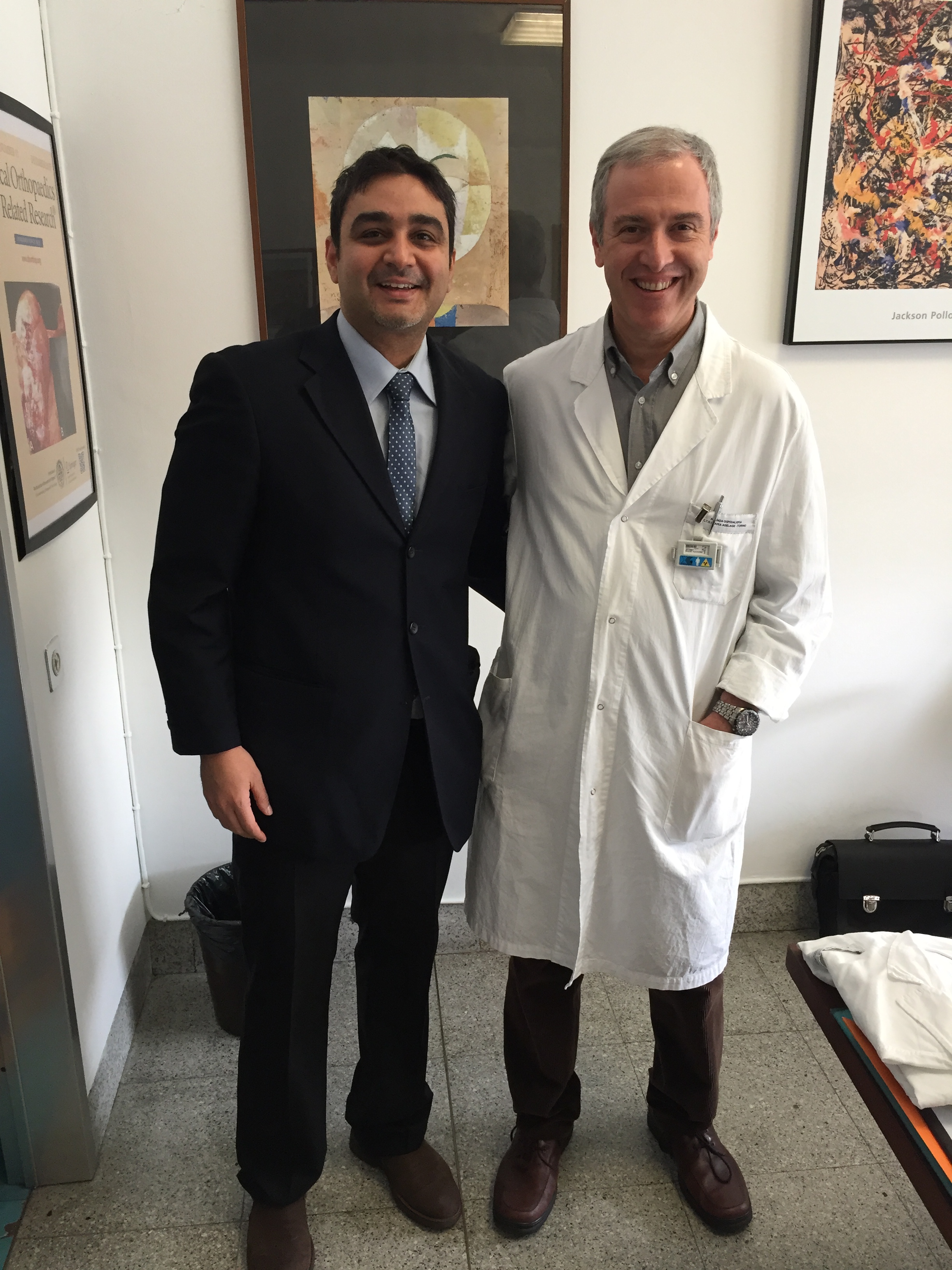 European Foundation Fellowship (EFORT) Hip Preservation Surgery with Prof Dr Alessandro Masse Maria,Italian Alpes